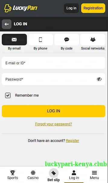 User login form