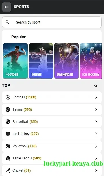 Sports categories list